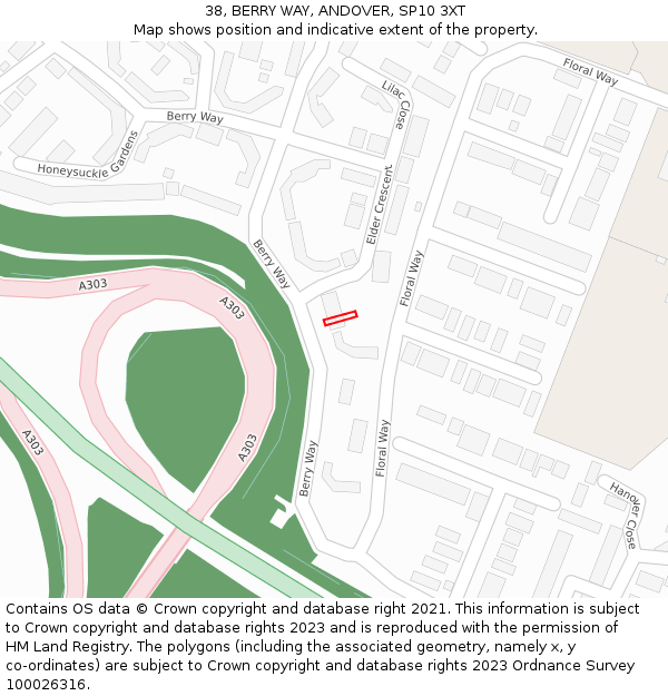 38, BERRY WAY, ANDOVER, SP10 3XT: Location map and indicative extent of plot