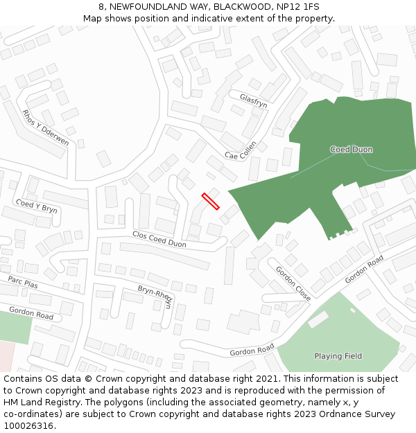 8, NEWFOUNDLAND WAY, BLACKWOOD, NP12 1FS: Location map and indicative extent of plot