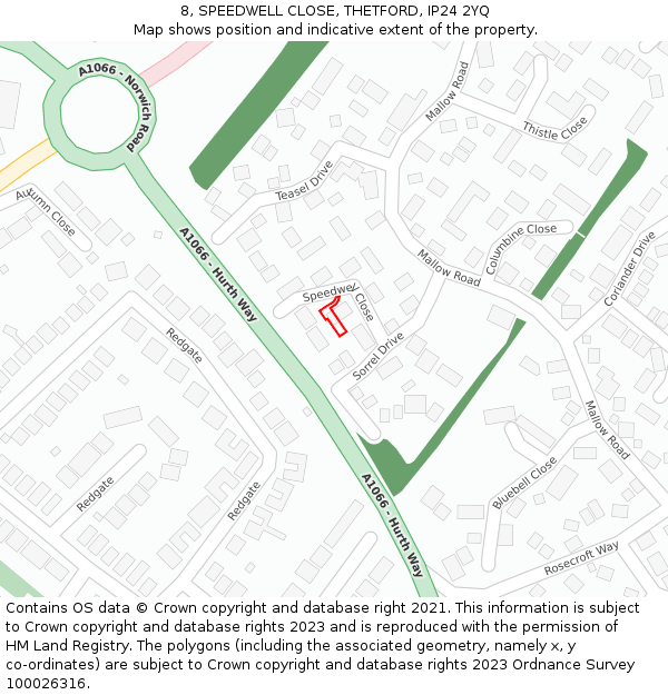 8, SPEEDWELL CLOSE, THETFORD, IP24 2YQ: Location map and indicative extent of plot