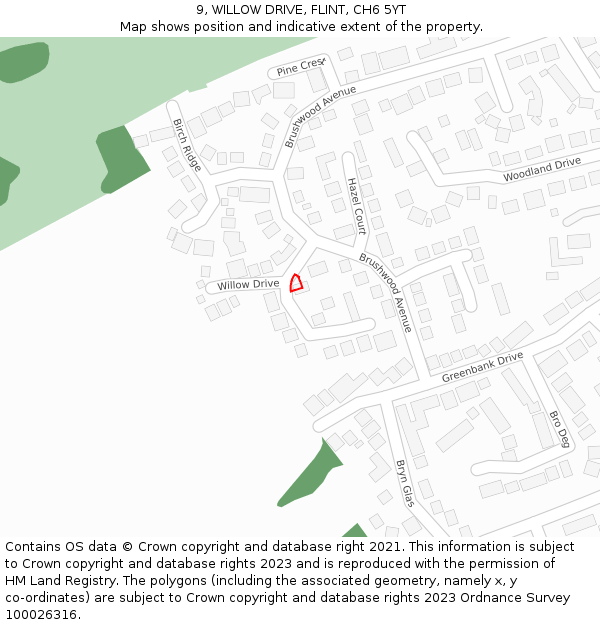 9, WILLOW DRIVE, FLINT, CH6 5YT: Location map and indicative extent of plot