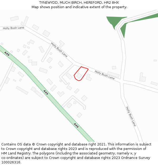 TYNEWYDD, MUCH BIRCH, HEREFORD, HR2 8HX: Location map and indicative extent of plot