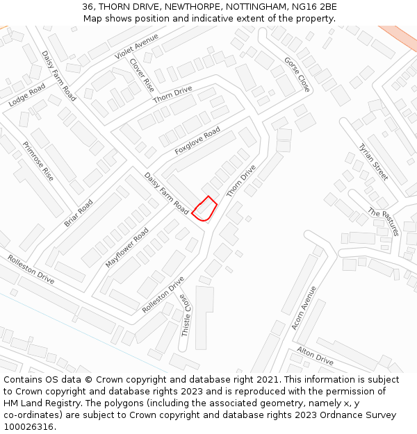 36, THORN DRIVE, NEWTHORPE, NOTTINGHAM, NG16 2BE: Location map and indicative extent of plot
