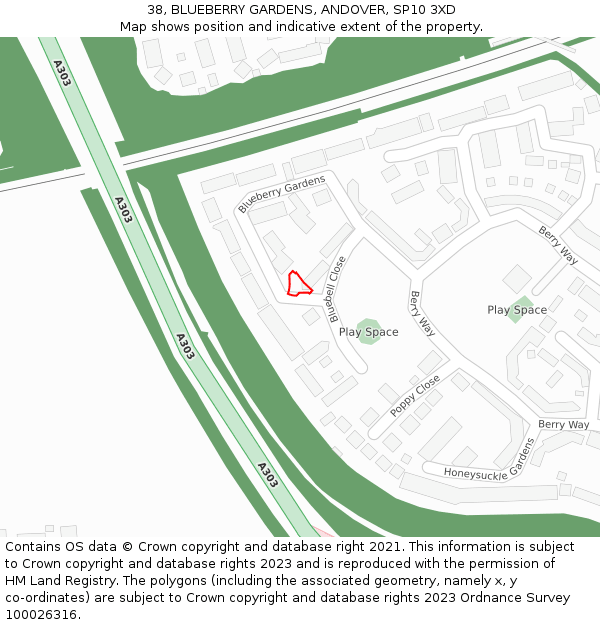 38, BLUEBERRY GARDENS, ANDOVER, SP10 3XD: Location map and indicative extent of plot