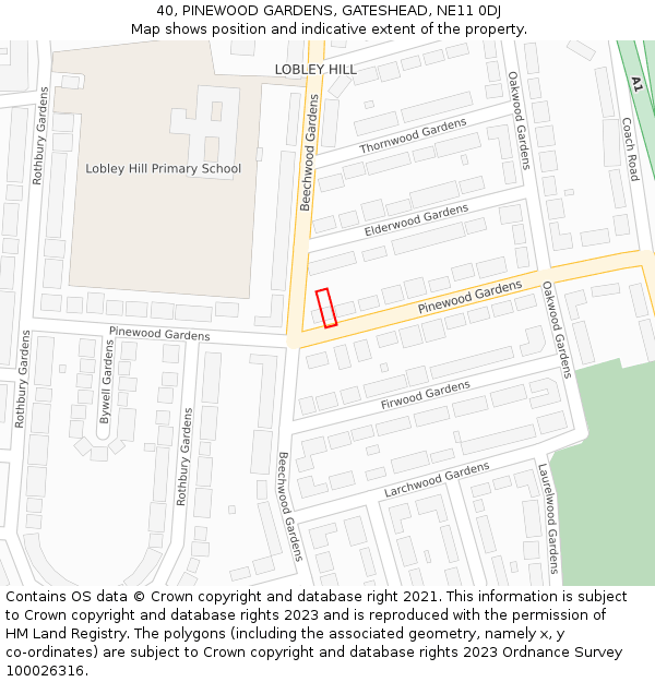 40, PINEWOOD GARDENS, GATESHEAD, NE11 0DJ: Location map and indicative extent of plot