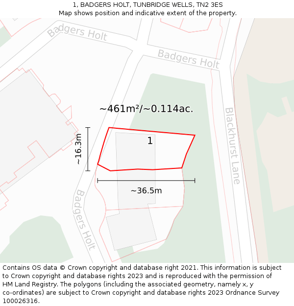 1, BADGERS HOLT, TUNBRIDGE WELLS, TN2 3ES: Plot and title map