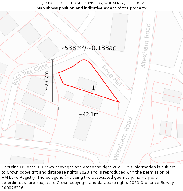 1, BIRCH TREE CLOSE, BRYNTEG, WREXHAM, LL11 6LZ: Plot and title map