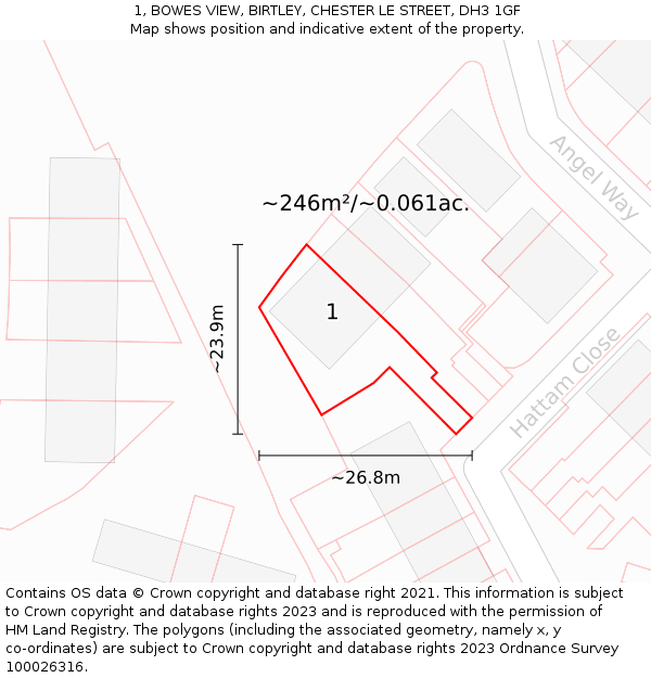 1, BOWES VIEW, BIRTLEY, CHESTER LE STREET, DH3 1GF: Plot and title map