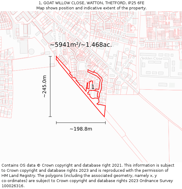 1, GOAT WILLOW CLOSE, WATTON, THETFORD, IP25 6FE: Plot and title map