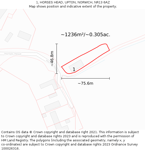 1, HORSES HEAD, UPTON, NORWICH, NR13 6AZ: Plot and title map