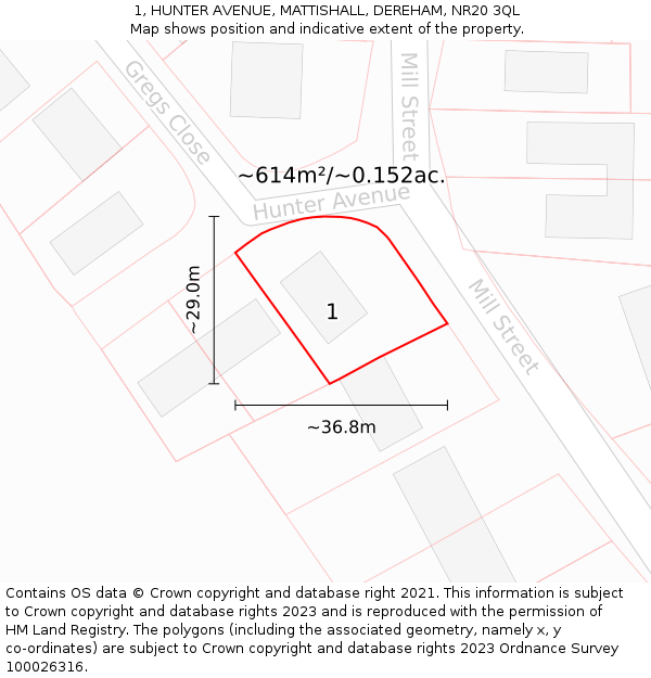 1, HUNTER AVENUE, MATTISHALL, DEREHAM, NR20 3QL: Plot and title map