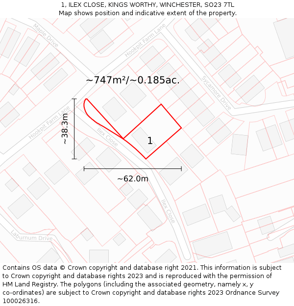 1, ILEX CLOSE, KINGS WORTHY, WINCHESTER, SO23 7TL: Plot and title map