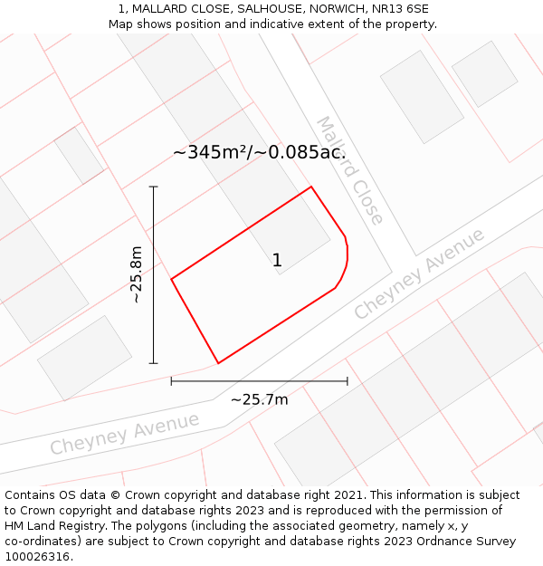 1, MALLARD CLOSE, SALHOUSE, NORWICH, NR13 6SE: Plot and title map