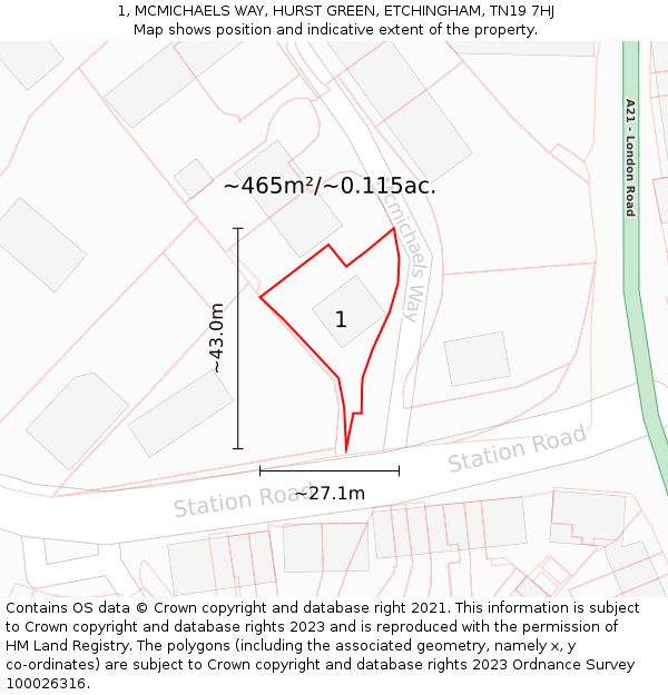 1, MCMICHAELS WAY, HURST GREEN, ETCHINGHAM, TN19 7HJ: Plot and title map