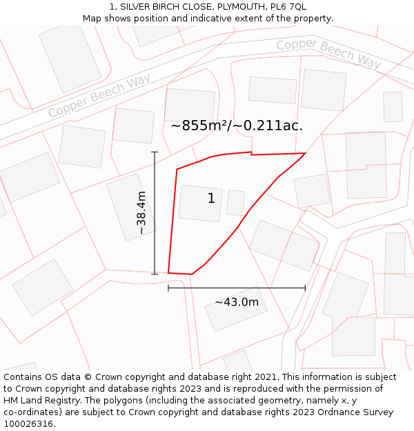 1, SILVER BIRCH CLOSE, PLYMOUTH, PL6 7QL: Plot and title map