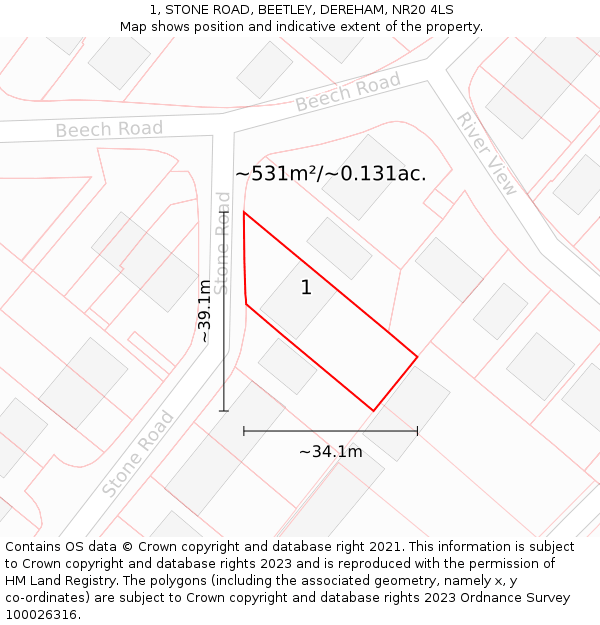 1, STONE ROAD, BEETLEY, DEREHAM, NR20 4LS: Plot and title map