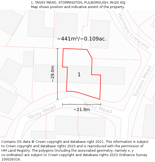 1, TANSY MEAD, STORRINGTON, PULBOROUGH, RH20 4QJ: Plot and title map