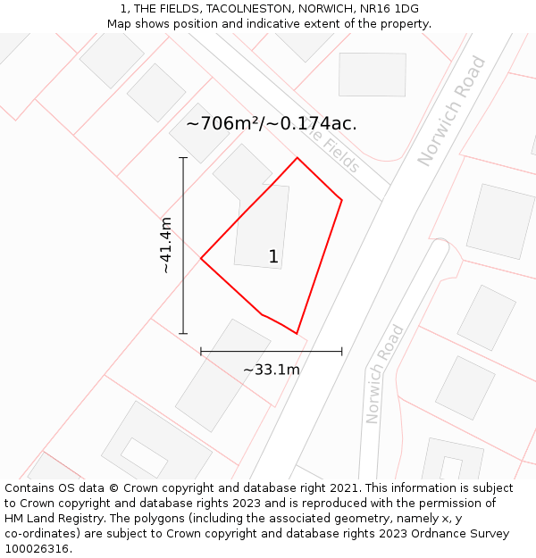 1, THE FIELDS, TACOLNESTON, NORWICH, NR16 1DG: Plot and title map