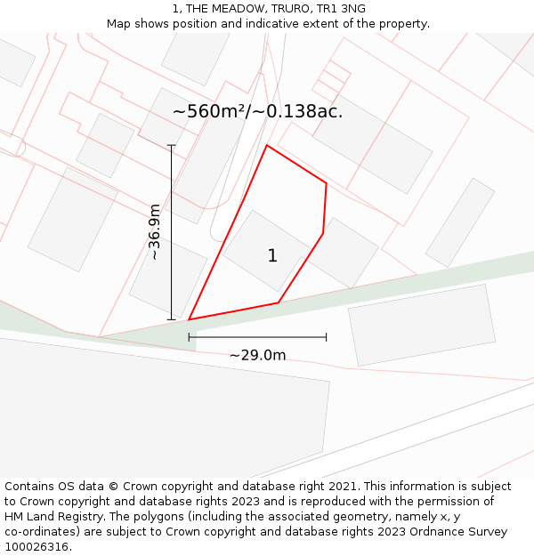 1, THE MEADOW, TRURO, TR1 3NG: Plot and title map