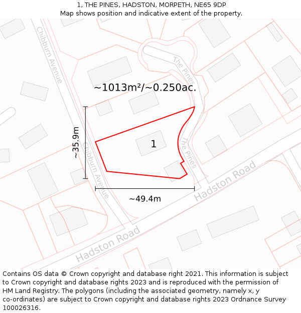 1, THE PINES, HADSTON, MORPETH, NE65 9DP: Plot and title map