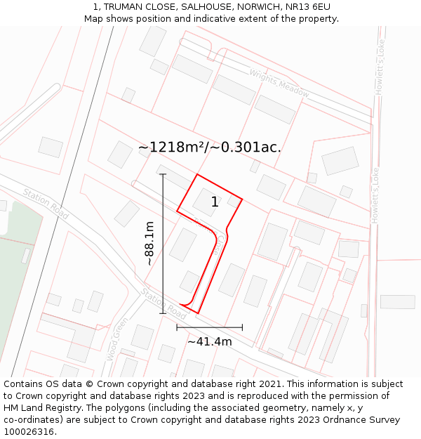 1, TRUMAN CLOSE, SALHOUSE, NORWICH, NR13 6EU: Plot and title map