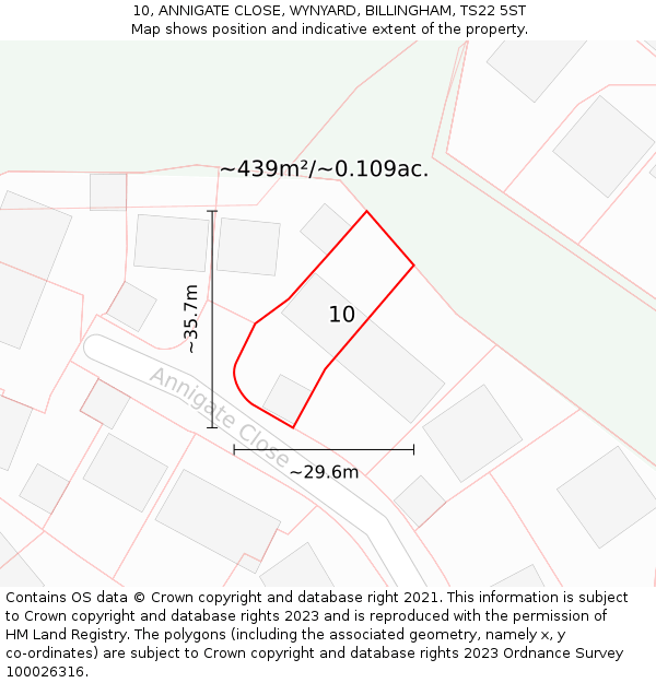 10, ANNIGATE CLOSE, WYNYARD, BILLINGHAM, TS22 5ST: Plot and title map