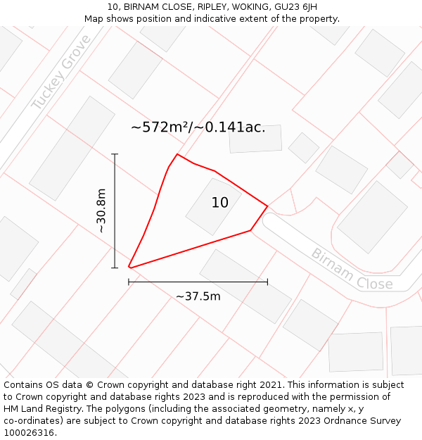 10, BIRNAM CLOSE, RIPLEY, WOKING, GU23 6JH: Plot and title map