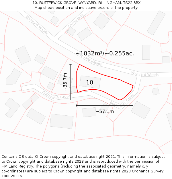 10, BUTTERWICK GROVE, WYNYARD, BILLINGHAM, TS22 5RX: Plot and title map