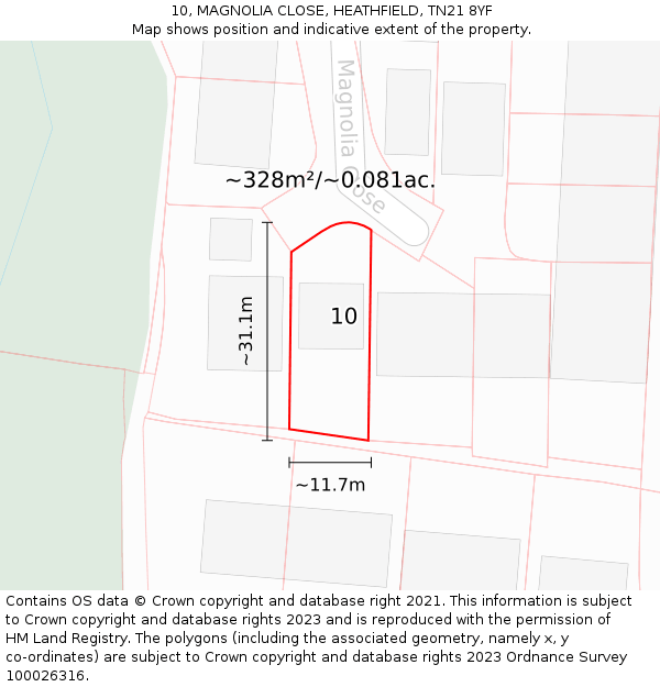 10, MAGNOLIA CLOSE, HEATHFIELD, TN21 8YF: Plot and title map