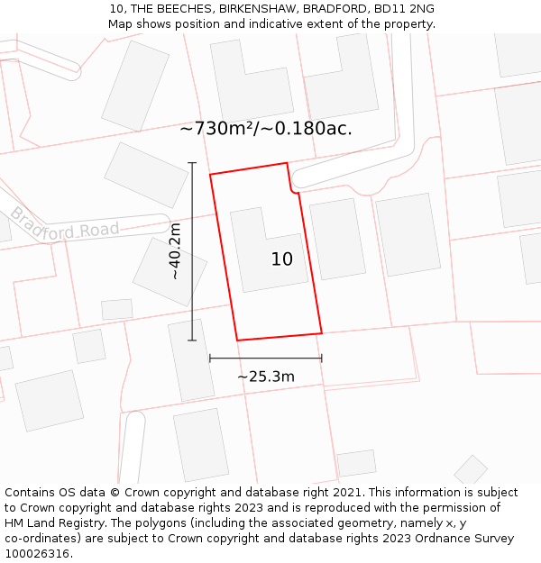 10, THE BEECHES, BIRKENSHAW, BRADFORD, BD11 2NG: Plot and title map