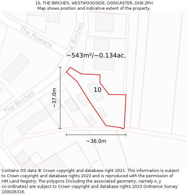 10, THE BIRCHES, WESTWOODSIDE, DONCASTER, DN9 2PH: Plot and title map