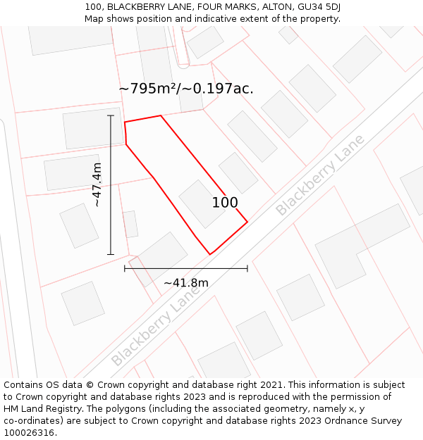 100, BLACKBERRY LANE, FOUR MARKS, ALTON, GU34 5DJ: Plot and title map
