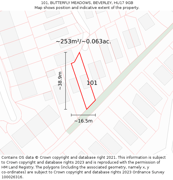 101, BUTTERFLY MEADOWS, BEVERLEY, HU17 9GB: Plot and title map