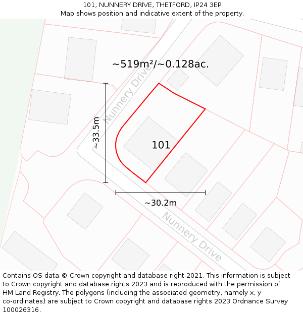 101, NUNNERY DRIVE, THETFORD, IP24 3EP: Plot and title map