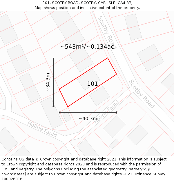 101, SCOTBY ROAD, SCOTBY, CARLISLE, CA4 8BJ: Plot and title map