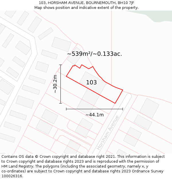 103, HORSHAM AVENUE, BOURNEMOUTH, BH10 7JF: Plot and title map