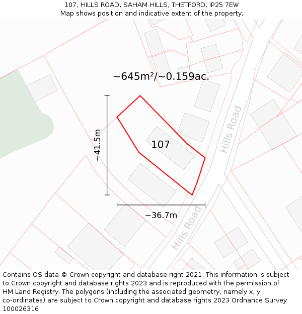 107, HILLS ROAD, SAHAM HILLS, THETFORD, IP25 7EW: Plot and title map