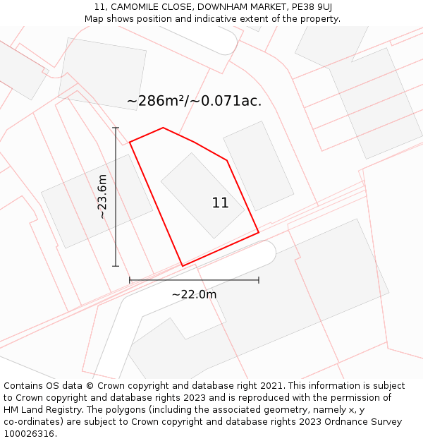 11, CAMOMILE CLOSE, DOWNHAM MARKET, PE38 9UJ: Plot and title map