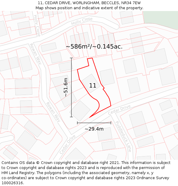 11, CEDAR DRIVE, WORLINGHAM, BECCLES, NR34 7EW: Plot and title map