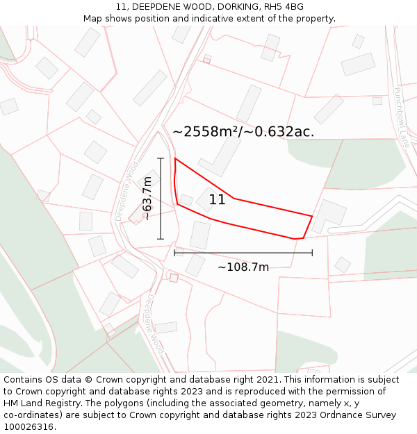 11, DEEPDENE WOOD, DORKING, RH5 4BG: Plot and title map