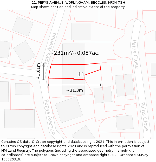 11, PEPYS AVENUE, WORLINGHAM, BECCLES, NR34 7SH: Plot and title map