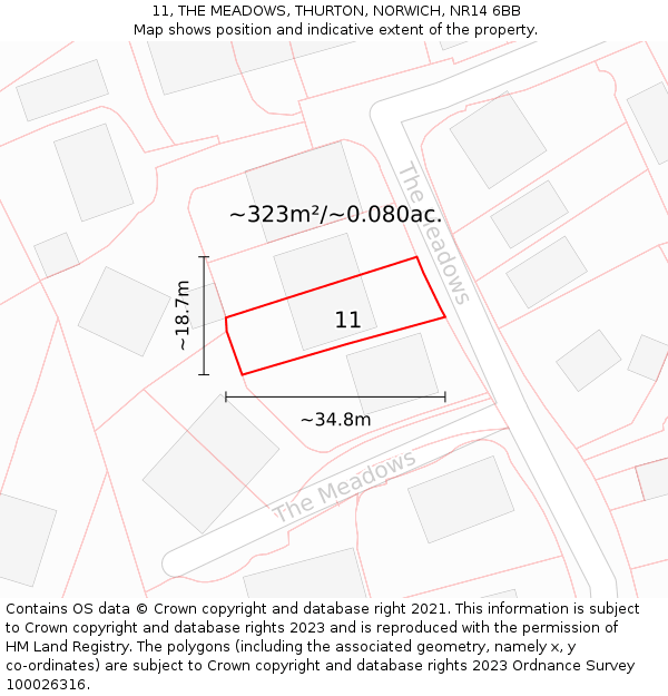 11, THE MEADOWS, THURTON, NORWICH, NR14 6BB: Plot and title map