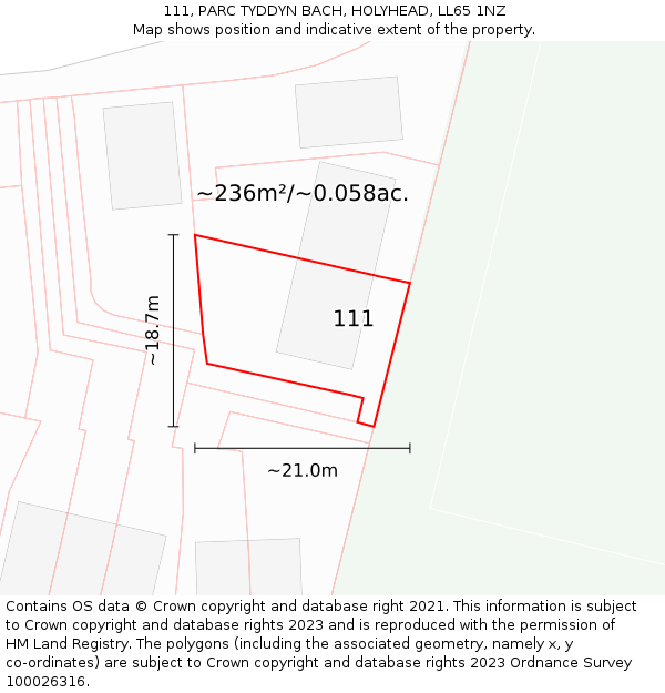 111, PARC TYDDYN BACH, HOLYHEAD, LL65 1NZ: Plot and title map