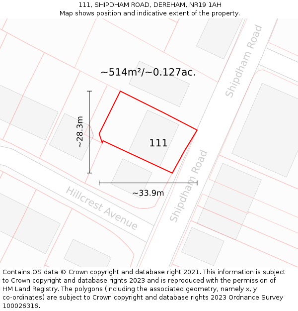 111, SHIPDHAM ROAD, DEREHAM, NR19 1AH: Plot and title map