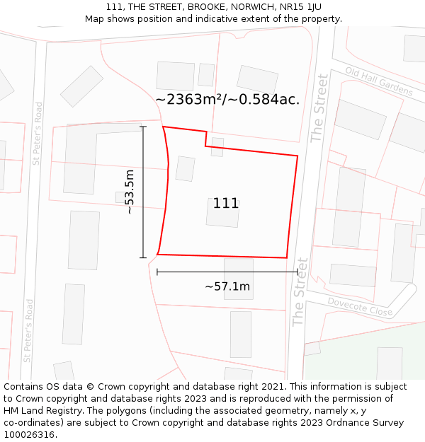 111, THE STREET, BROOKE, NORWICH, NR15 1JU: Plot and title map