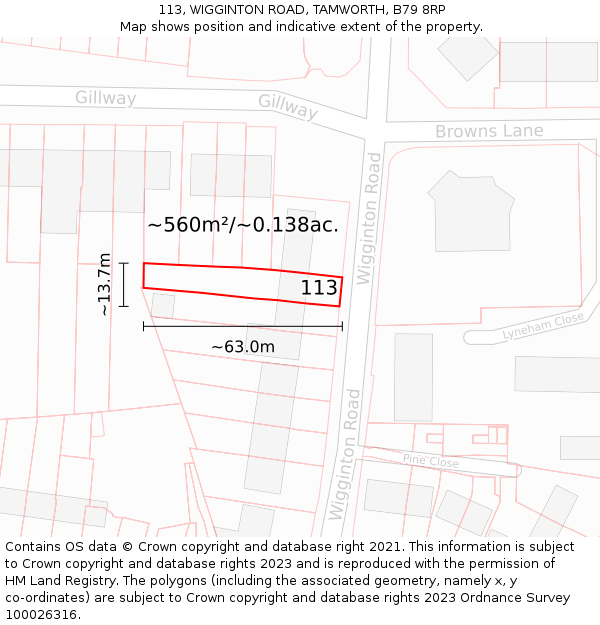 113, WIGGINTON ROAD, TAMWORTH, B79 8RP: Plot and title map