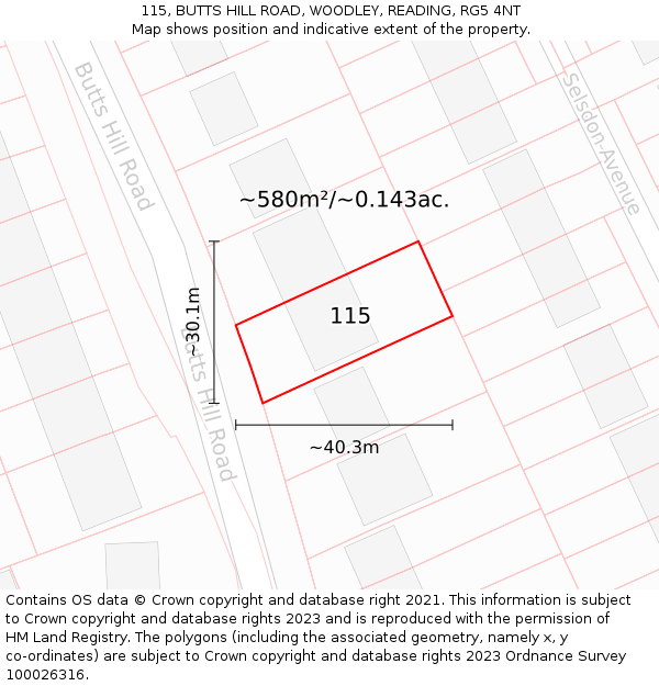 115, BUTTS HILL ROAD, WOODLEY, READING, RG5 4NT: Plot and title map