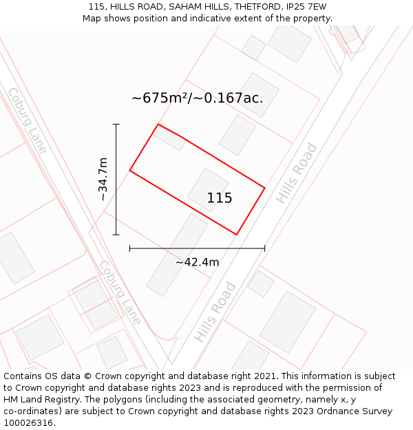 115, HILLS ROAD, SAHAM HILLS, THETFORD, IP25 7EW: Plot and title map