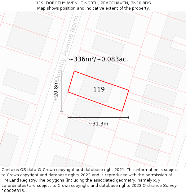 119, DOROTHY AVENUE NORTH, PEACEHAVEN, BN10 8DS: Plot and title map