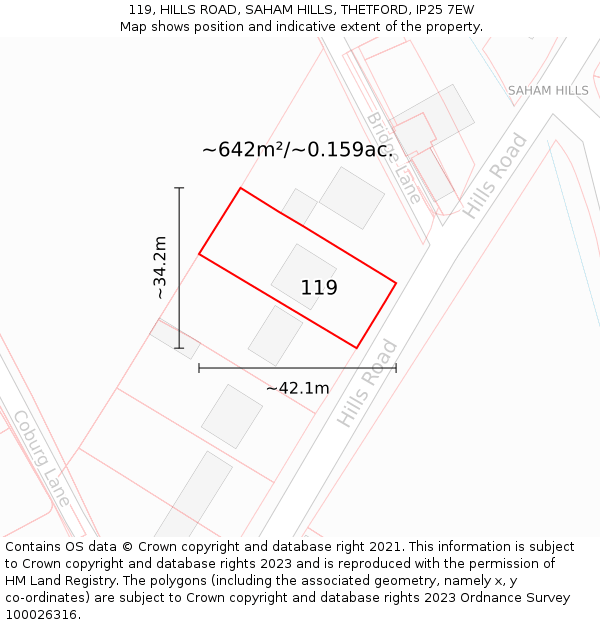 119, HILLS ROAD, SAHAM HILLS, THETFORD, IP25 7EW: Plot and title map