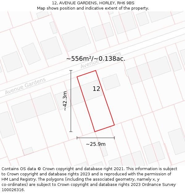 12, AVENUE GARDENS, HORLEY, RH6 9BS: Plot and title map